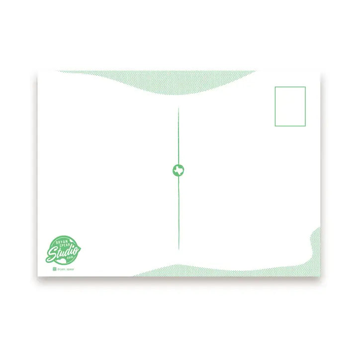 TX Wildflowers Postcard