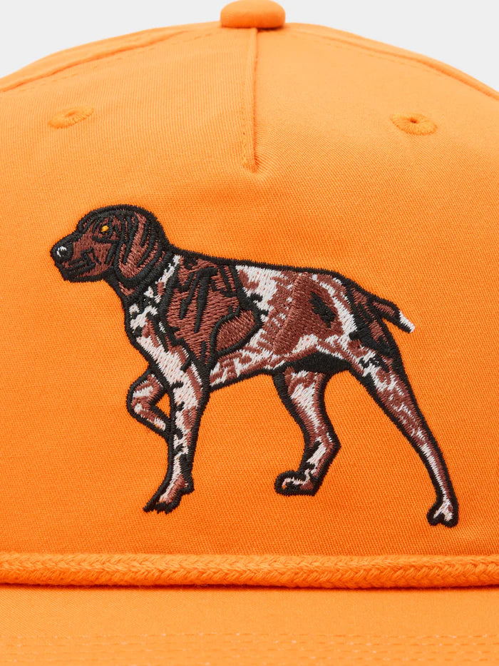 Pointer Grandpa Hat- Blaze