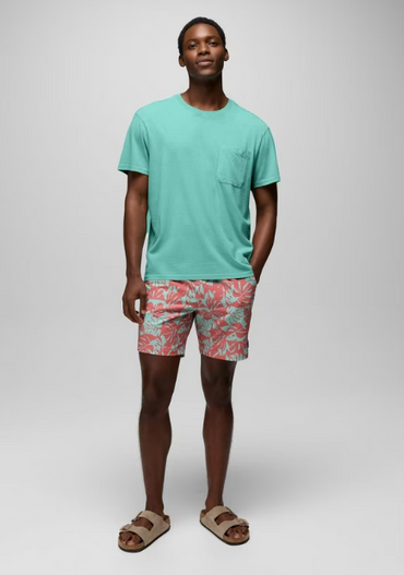 La Jolla Lined Short- Sea Glass Monstera