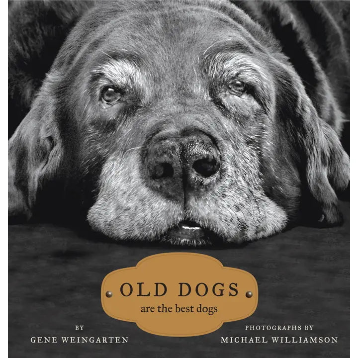 Old Dogs