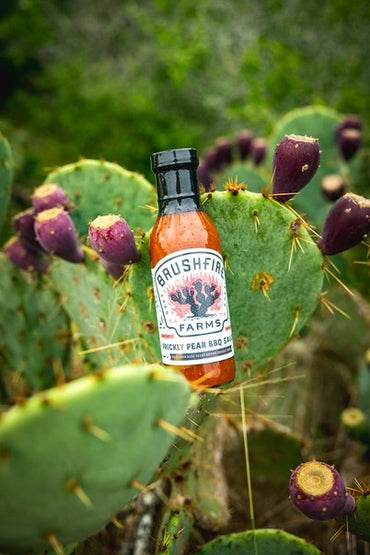 Prickly Pear Bbq Sauce