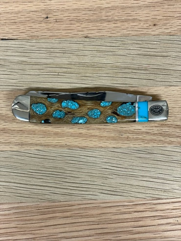 Turquoise Cholla Trapper