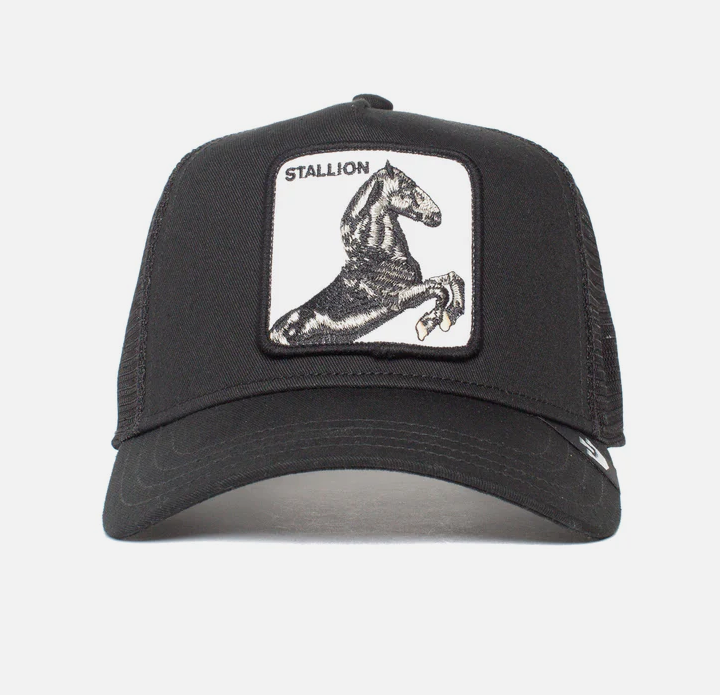The Stallion Hat