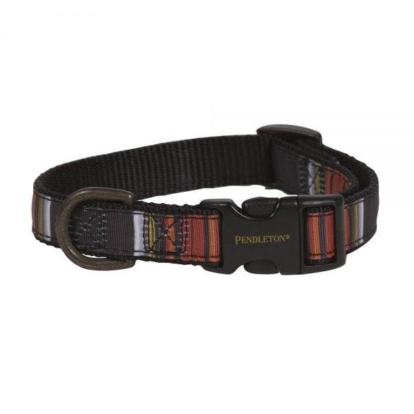 Pendleton Pet National Park Dog Collar - Acadia