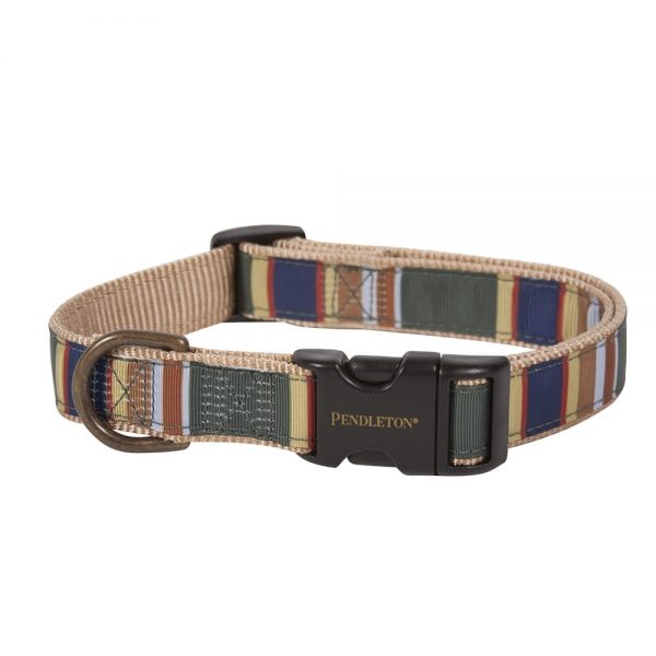 Pendleton Pet National Park Dog Collar - Badlands