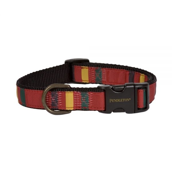 Pendleton Pet National Park Dog Collar - Mount Rainier