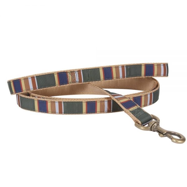 Pendleton Pet National Park Leash - Badlands