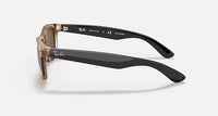 New Wayfarer Bicolor