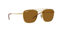 Arista Dark Brown