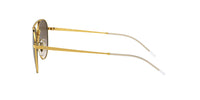 Brown Arista