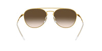 Brown Arista