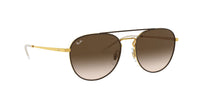 Brown Arista