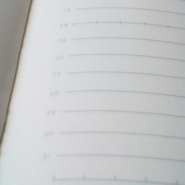 Tomoe River Notebooks A5