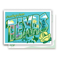 TX Wildflowers Postcard