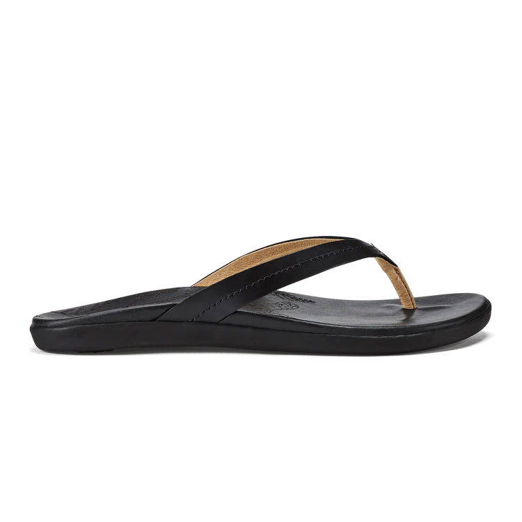 Honu - Black