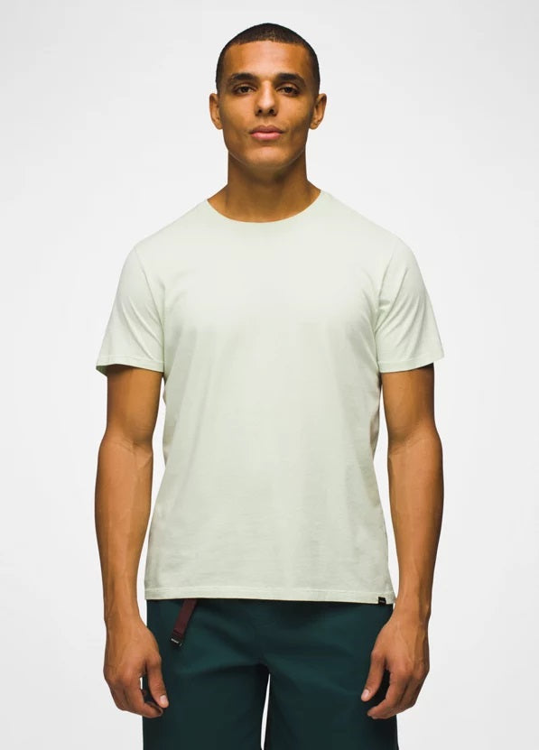 Everyday Short Sleeve T-Shirt- Pale Aloe