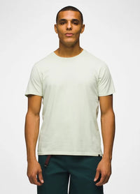 Everyday Short Sleeve T-Shirt- Pale Aloe