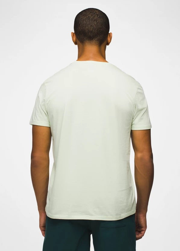 Everyday Short Sleeve T-Shirt- Pale Aloe