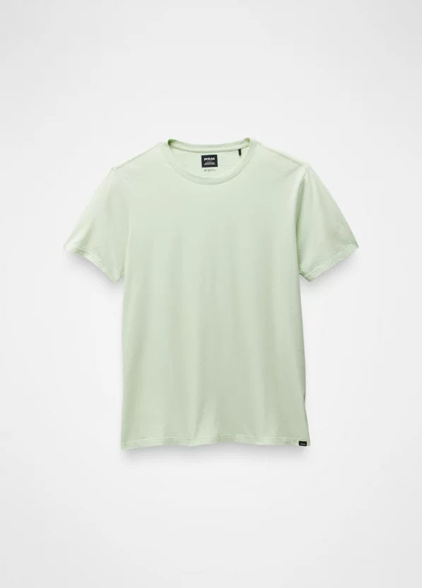 Everyday Short Sleeve T-Shirt- Pale Aloe