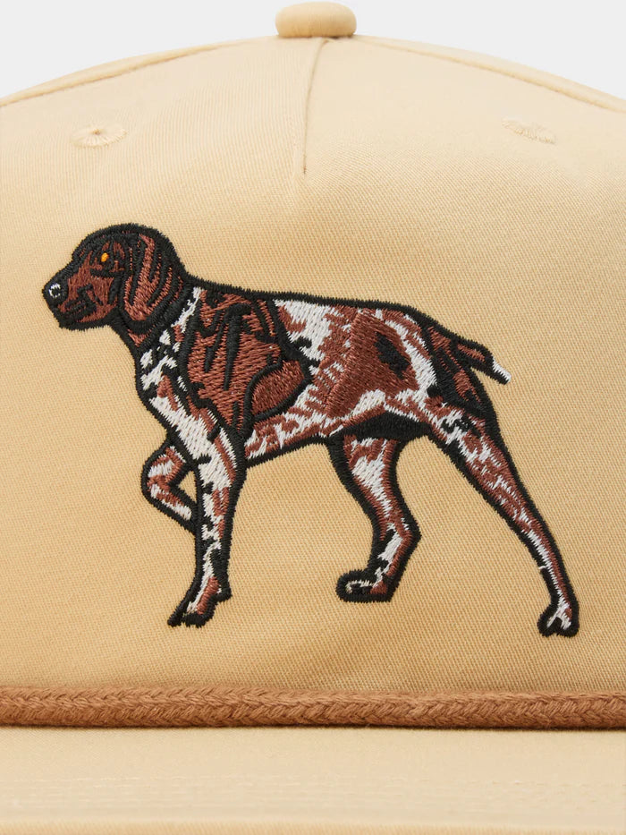Pointer Grandpa Hat- Croissant