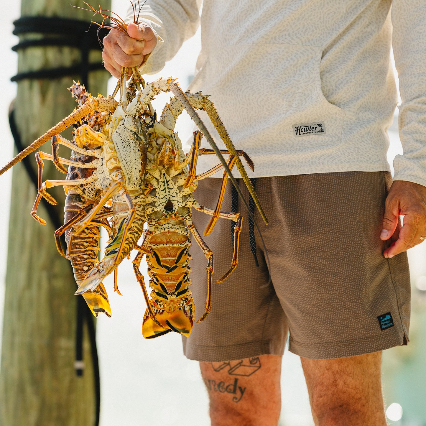 Loggerhead Hoodie- Pond Patterns/Bone