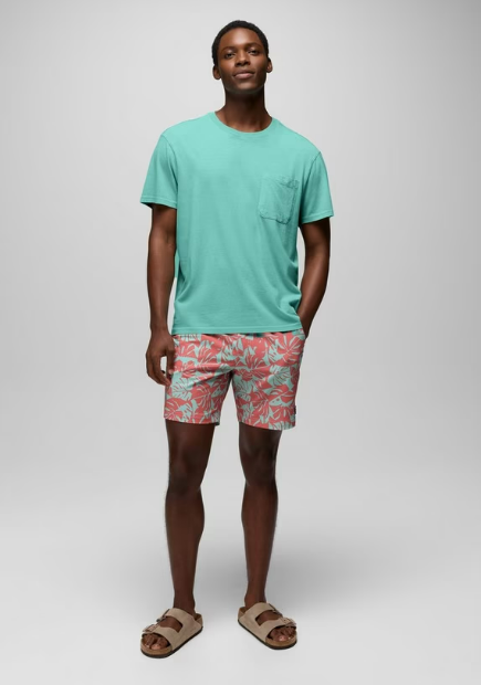 La Jolla Lined Short- Sea Glass Monstera