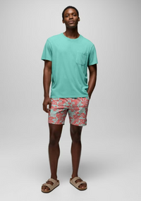 La Jolla Lined Short- Sea Glass Monstera