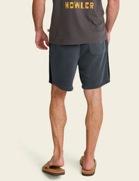 Palmetto Chill Shorts- Washed Navy