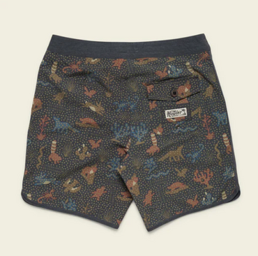 Bruja Boardshorts- Ecosistema