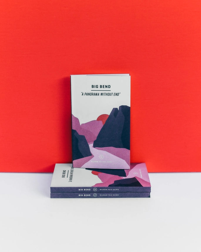 Big Bend National Park Guide Book