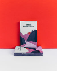 Big Bend National Park Guide Book