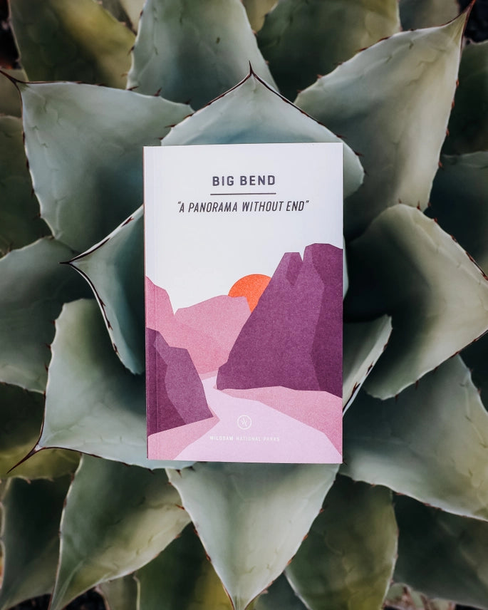 Big Bend National Park Guide Book