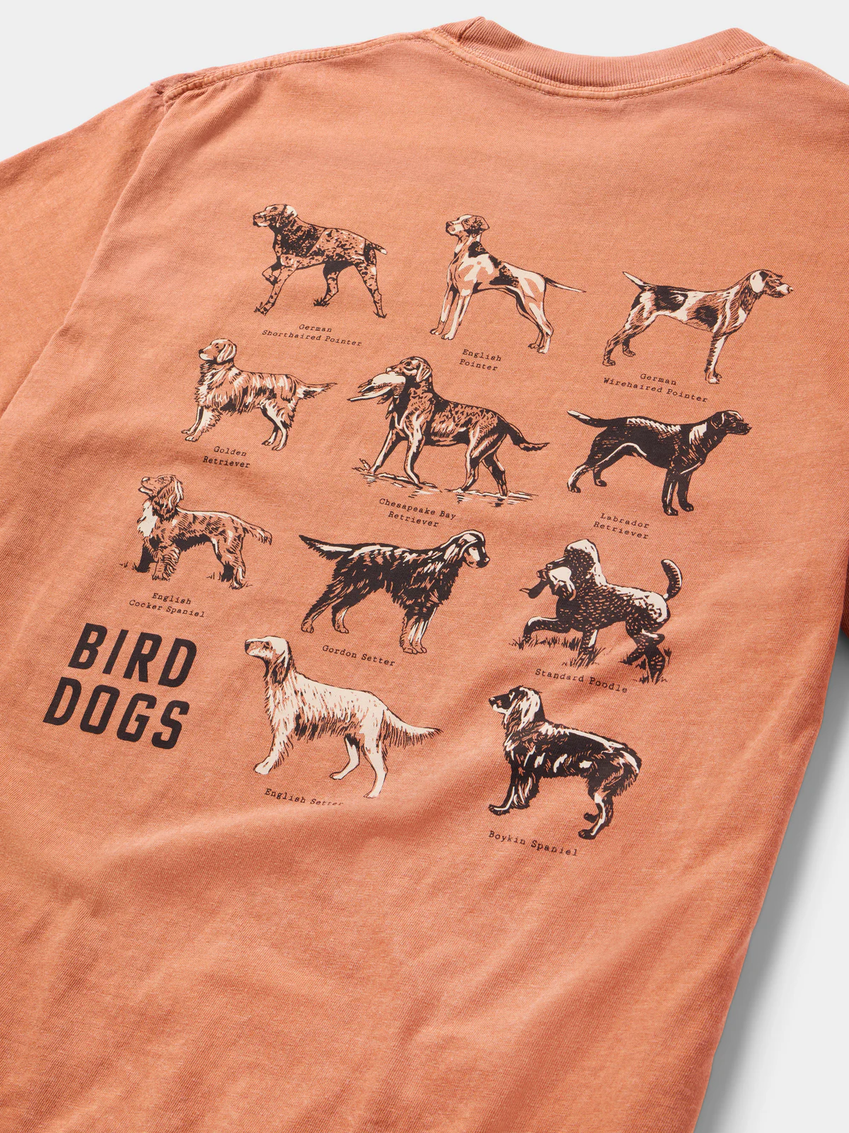 Bird Dogs T-Shirt- Clay