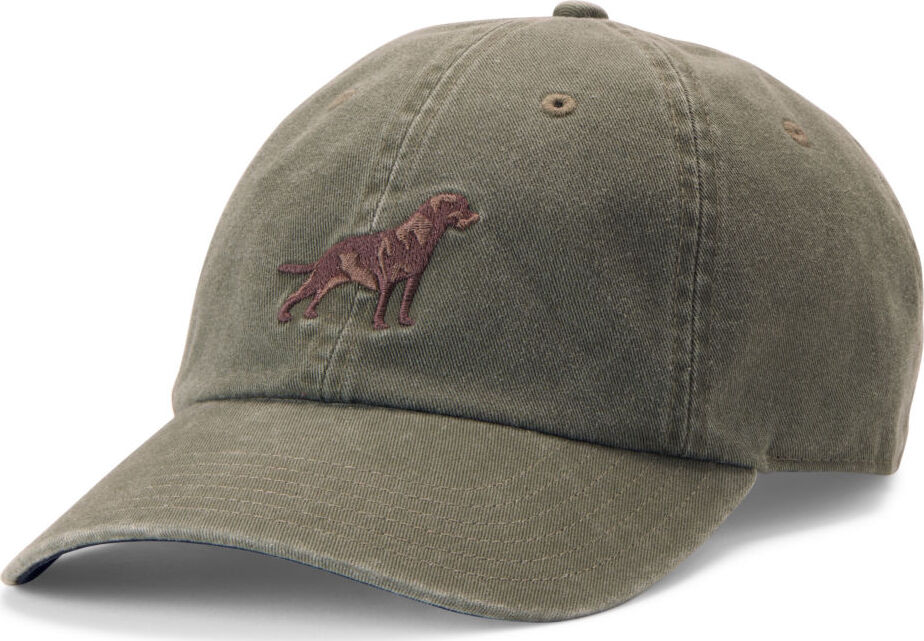 Embroidered Lab Ball Cap- Tarragon