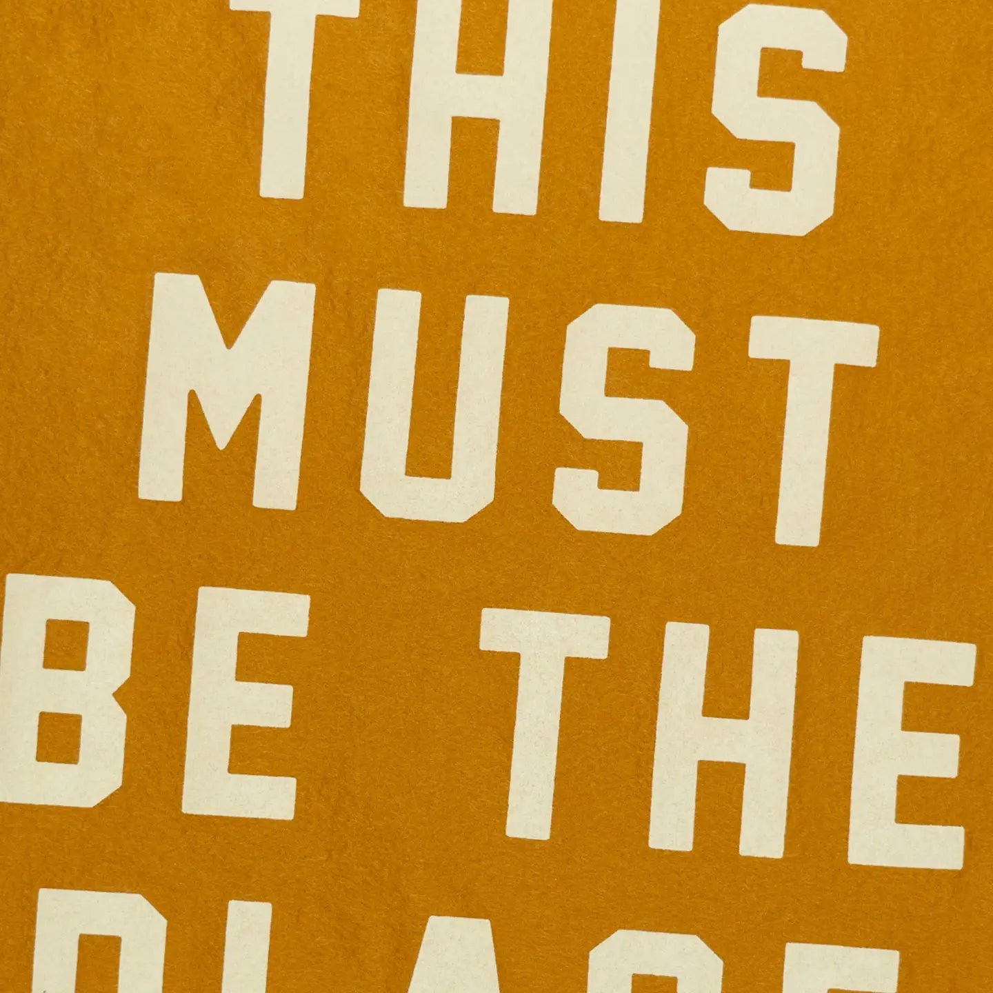 This Must Be The Place Camp Flag