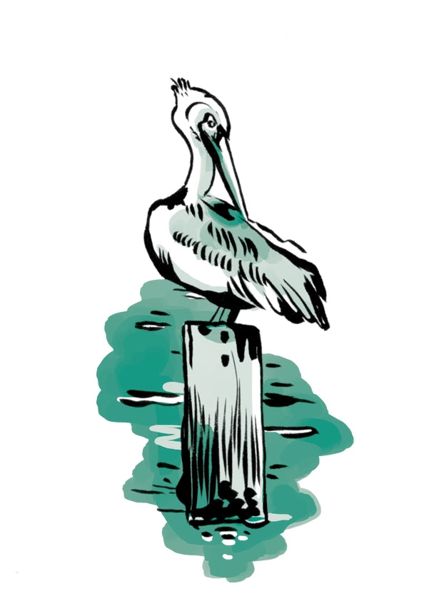 Gulf Coast Field Guide Book