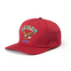 Bradley Snapback