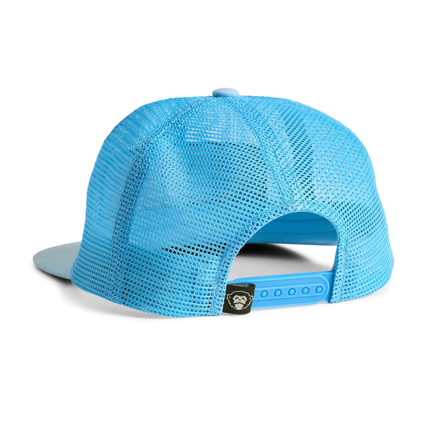 Worldwide Stoke Snapback Hat- Light Blue