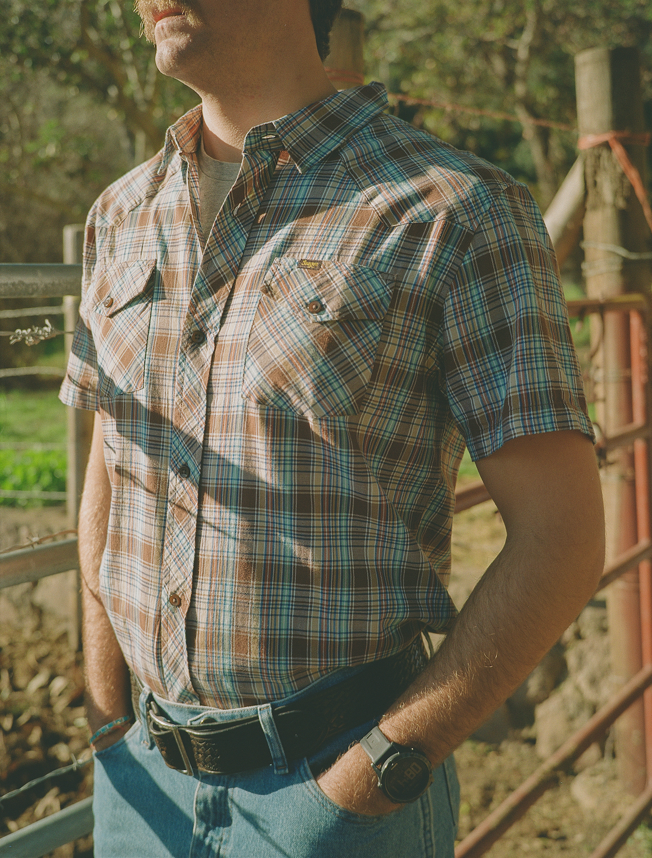 Amarillo Short Sleeve Shirt- Brown Plaid