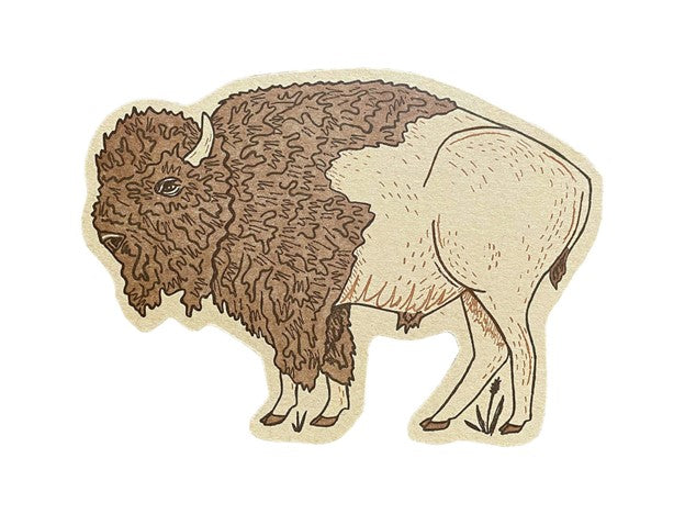 Bison Postcard