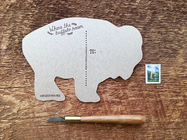 Bison Postcard