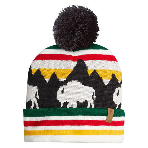 Retro Buffalo Beanie