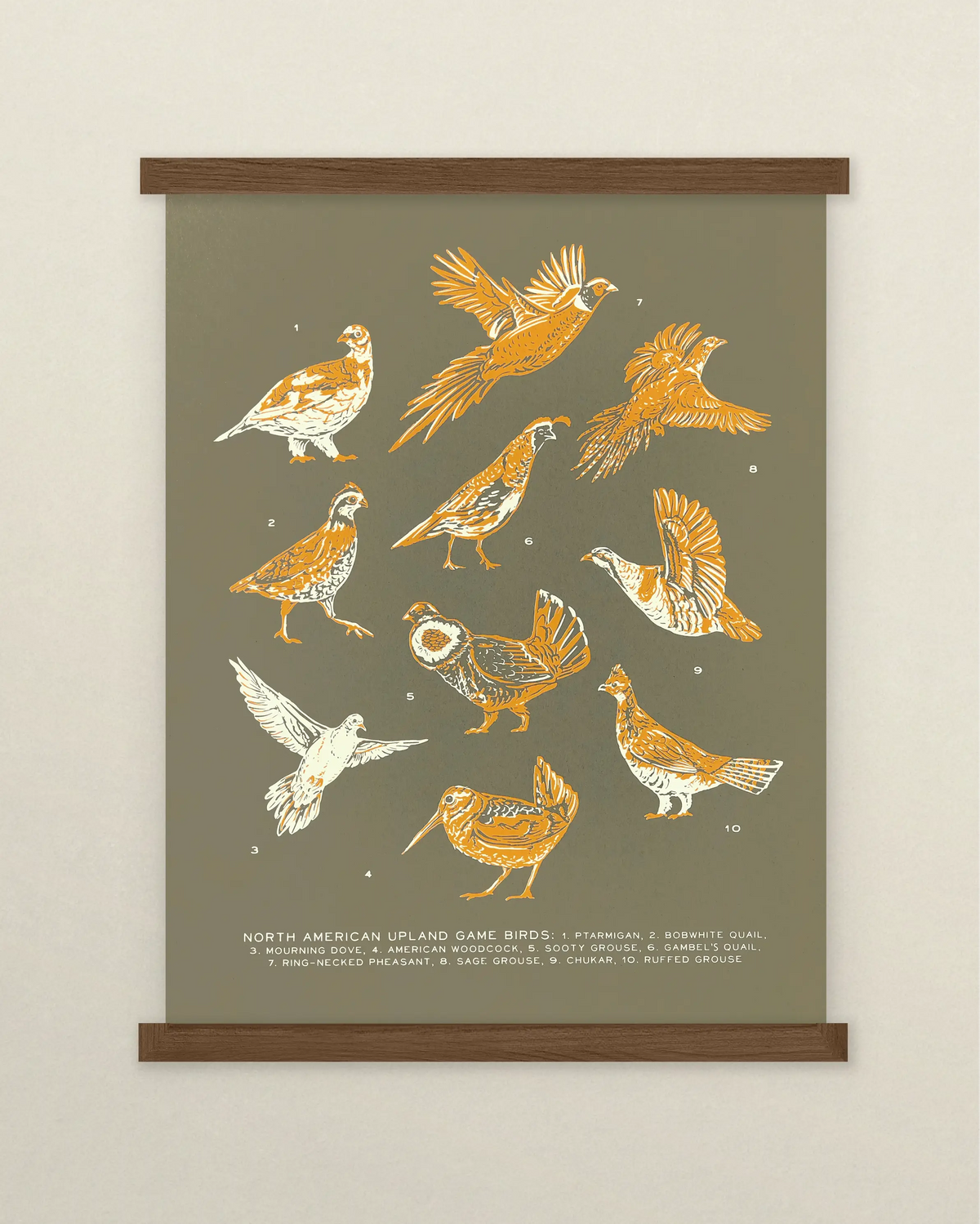 Upland Game Birds Guide Print