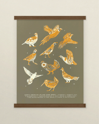 Upland Game Birds Guide Print