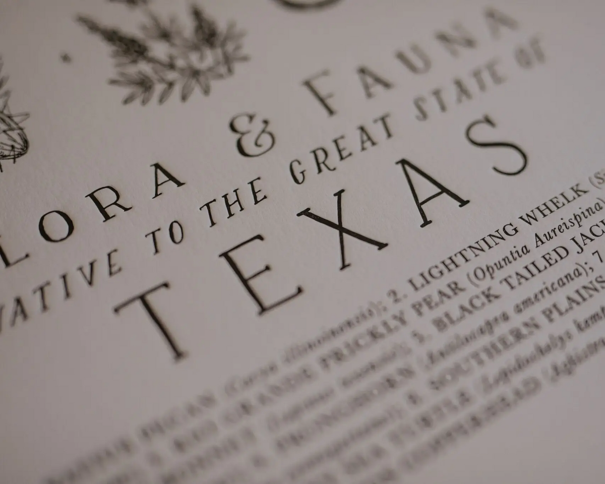 Texas Field Guide Print