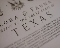 Texas Field Guide Print